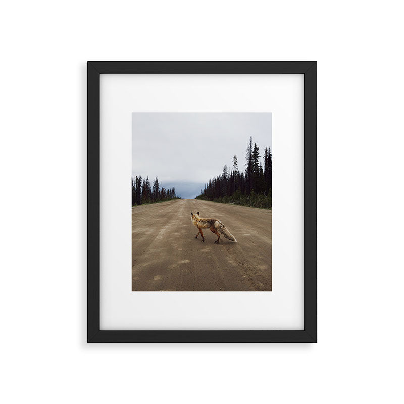 Road Fox Framed Art Print Gallery Image 5