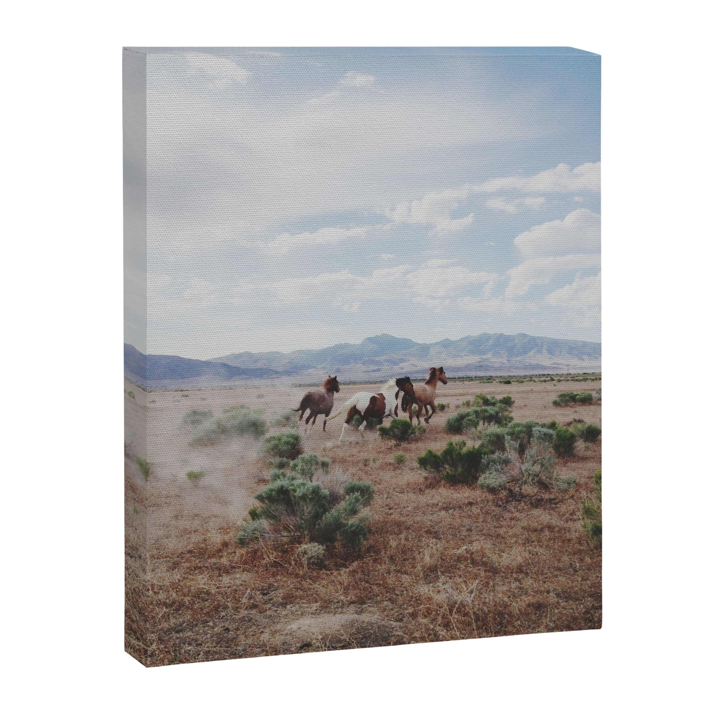 Running Horses Canvas Print Gallery Image 8