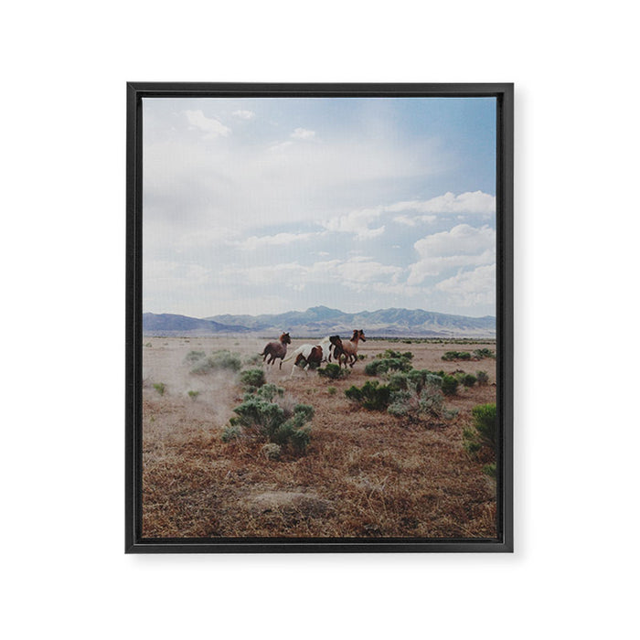 Running Horses Framed Canvas Print Gallery Image 1