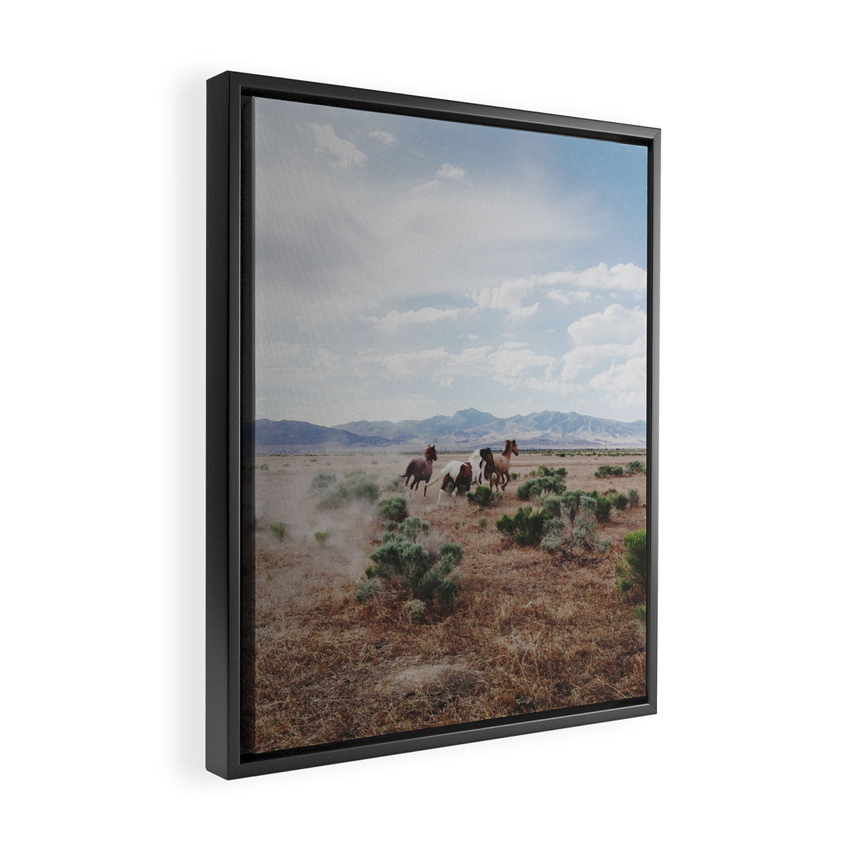 Running Horses Framed Canvas Print Gallery Image 2