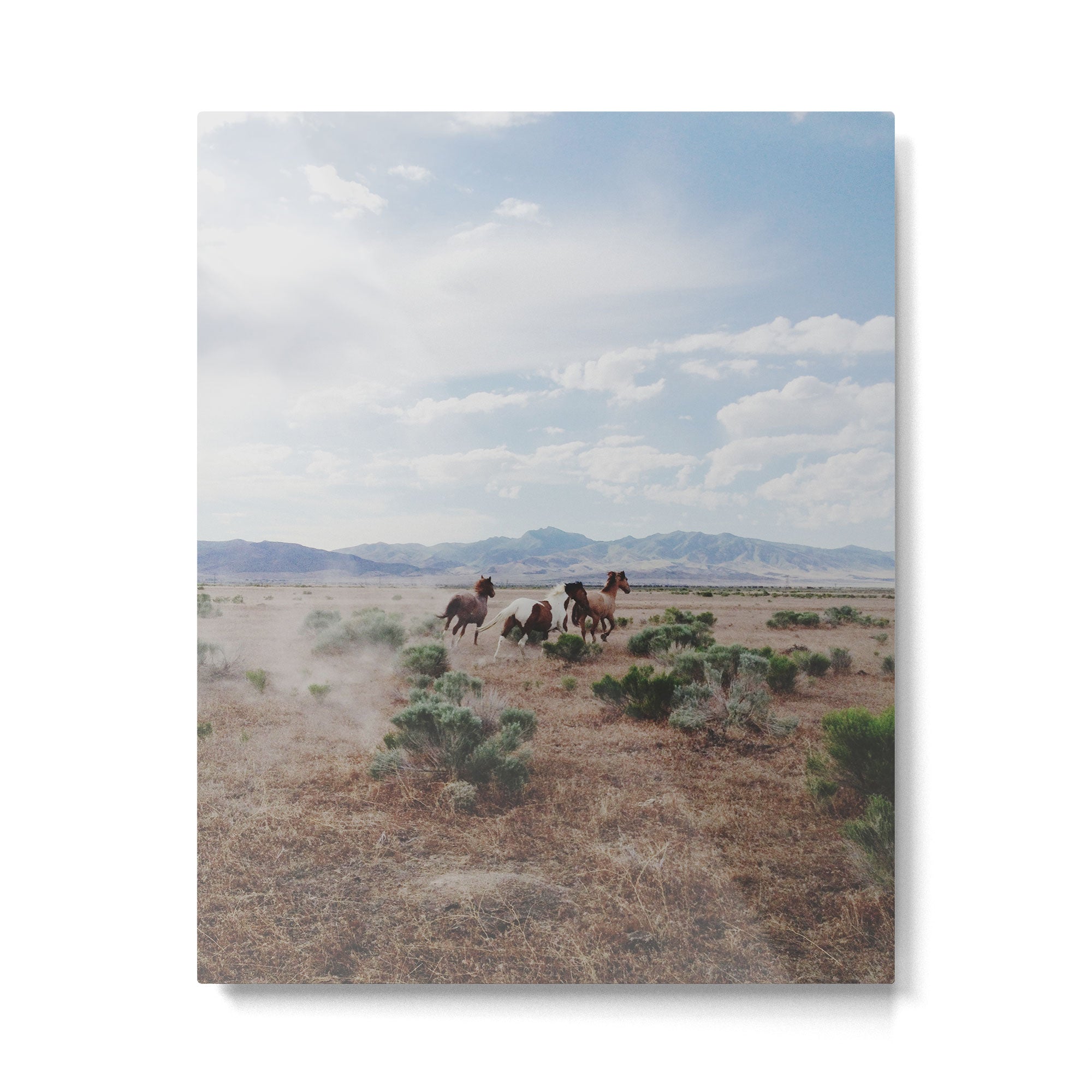 Running Horses Metal Print Gallery Image 6