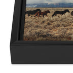 Running Reservation Horses Framed Canvas Print Gallery Image 3