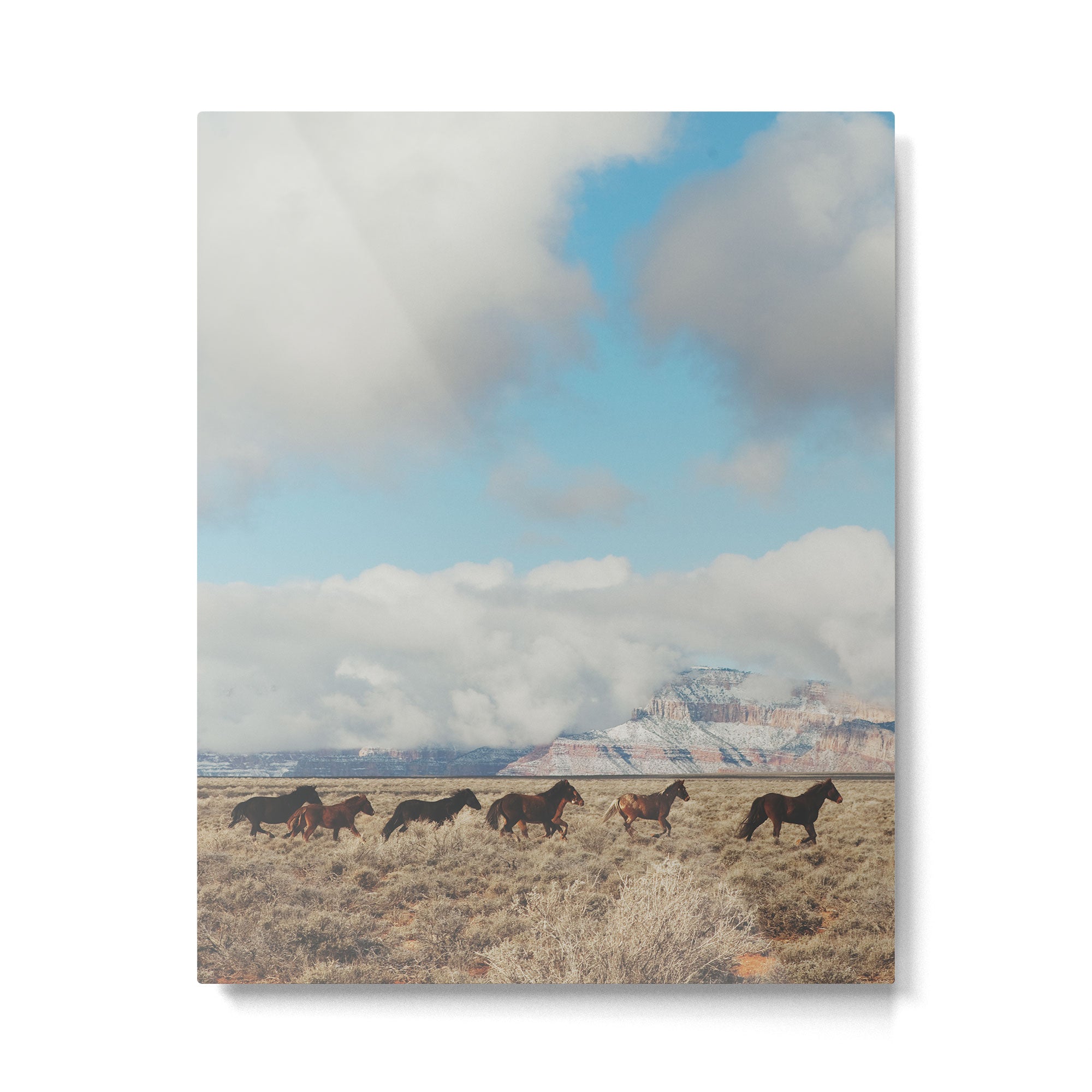 Running Reservation Horses Metal Print Gallery Image 4