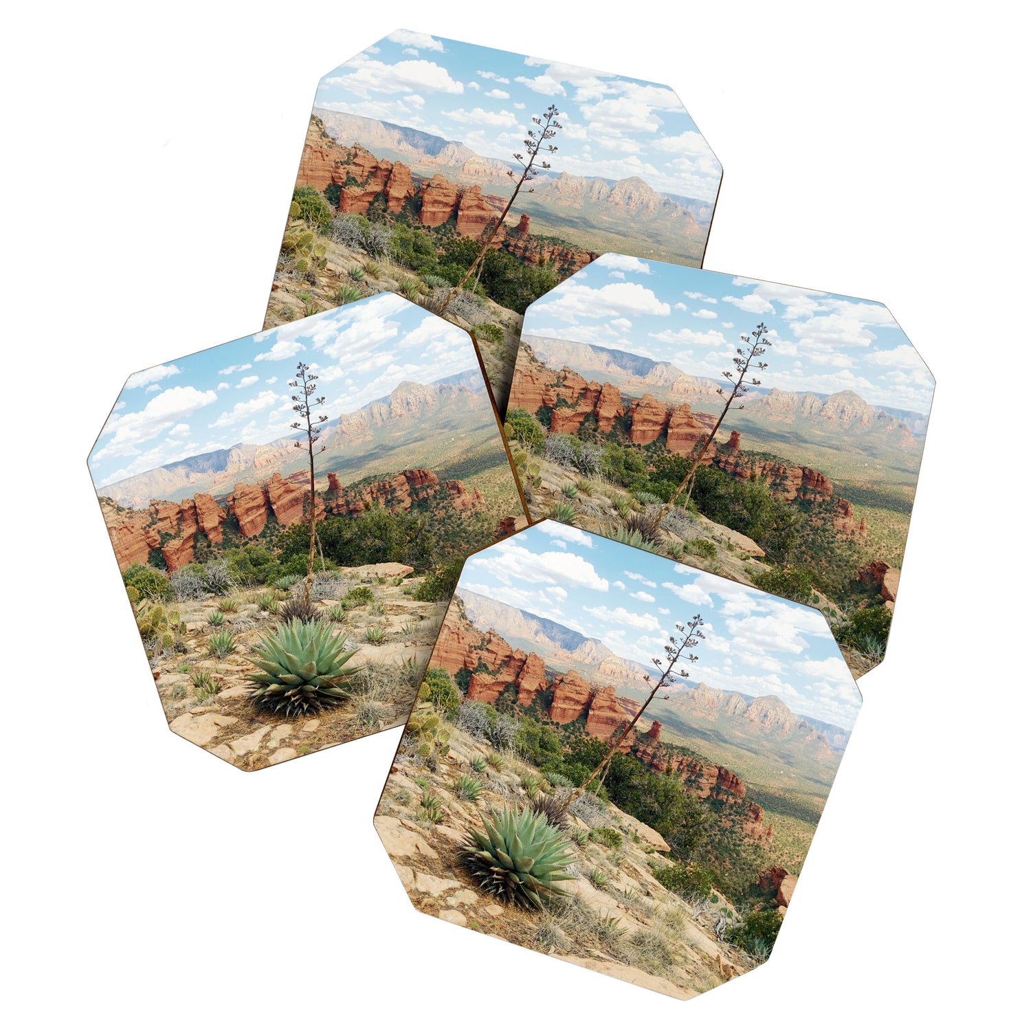 Sedona Red Sandstone Desert Agave Coaster Gallery Image 1