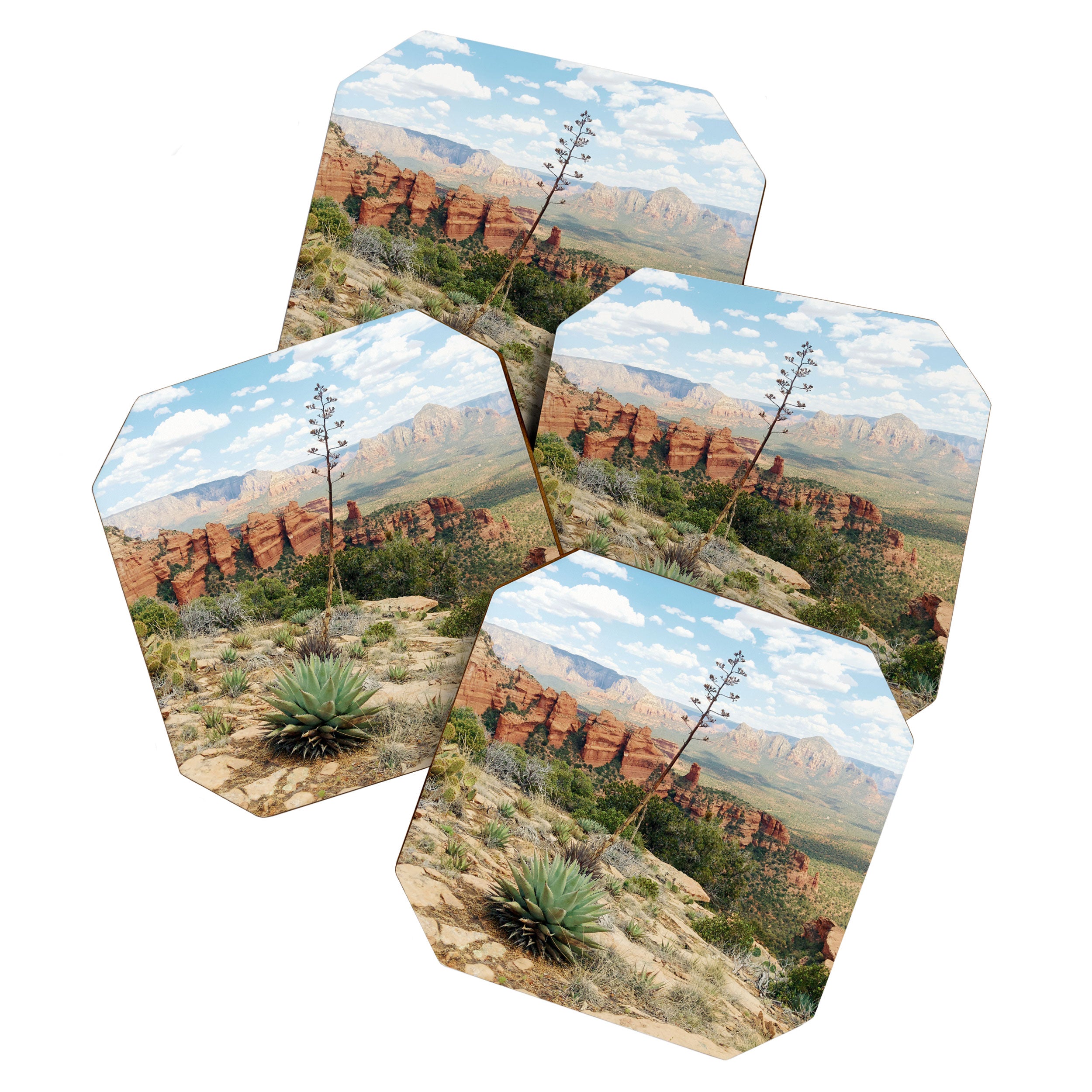 Sedona Red Sandstone Desert Agave Coaster Gallery Image 1