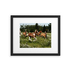 Spring Horse Run Framed Art Print Gallery Image 5