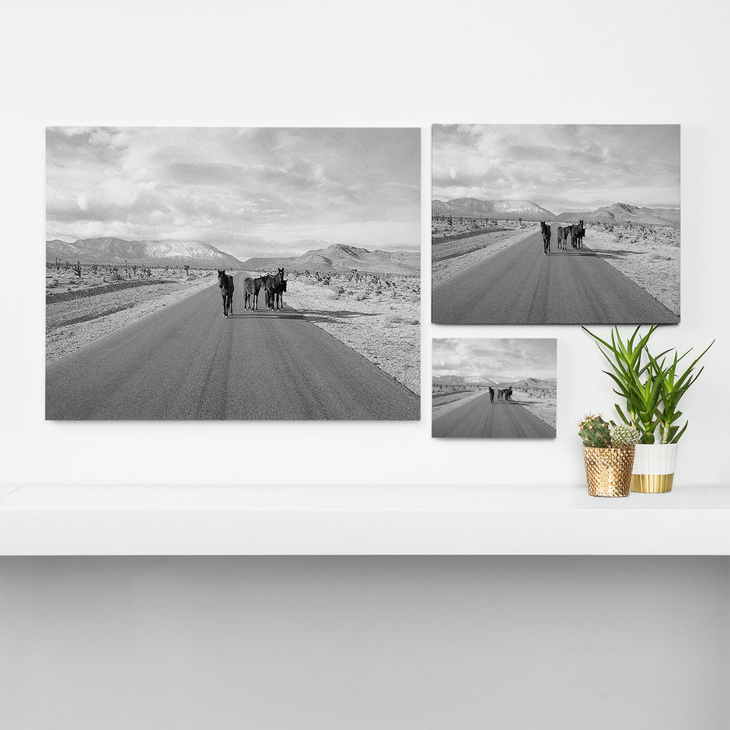 Spring Mountain Wild Horses Canvas Print Gallery Image 3