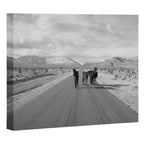 Spring Mountain Wild Horses Canvas Print Gallery Image 3