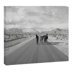 Spring Mountain Wild Horses Canvas Print Gallery Image 12