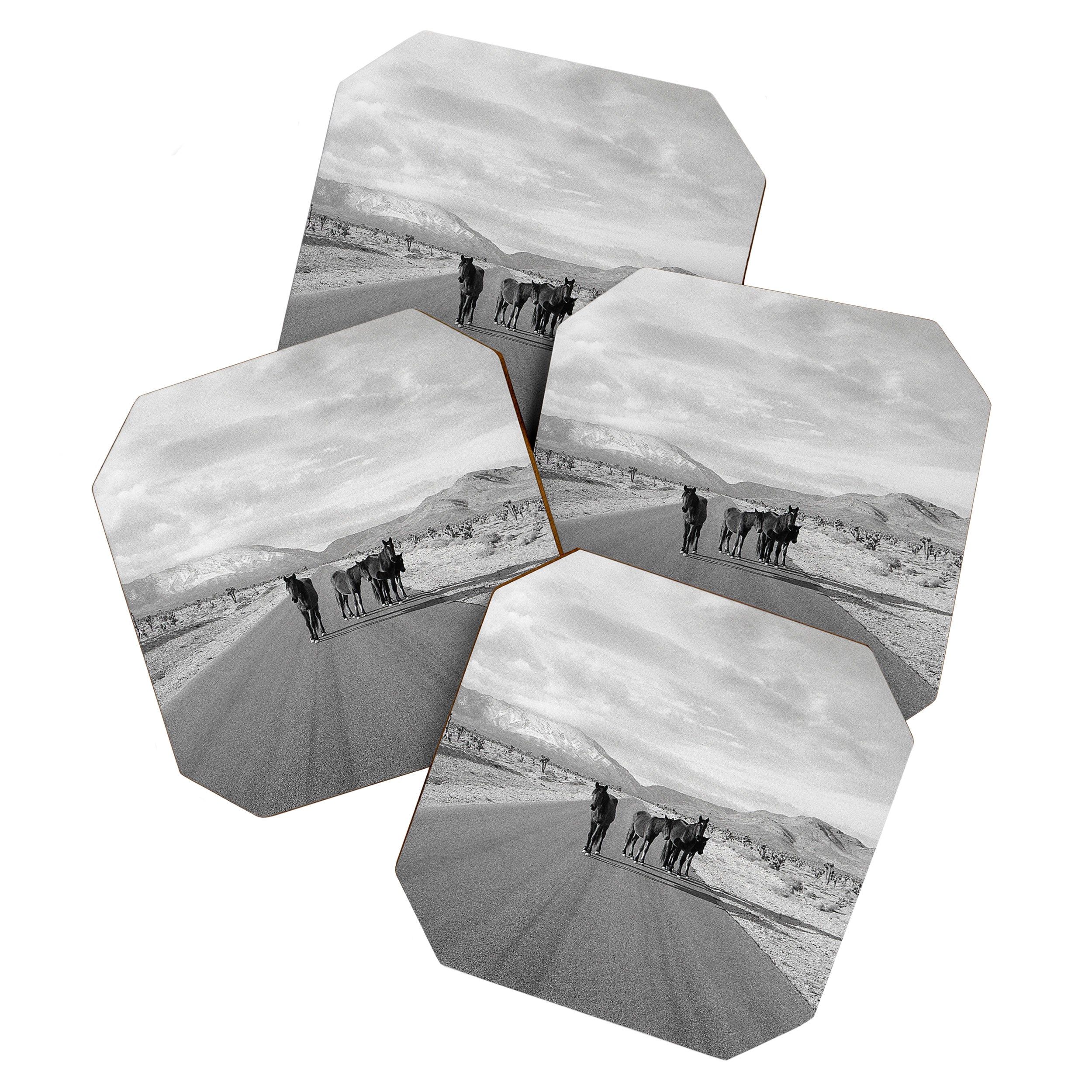 Spring Mountain Wild Horses Coaster Gallery Image 1