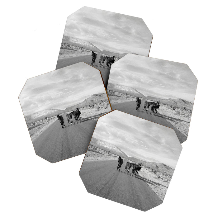 Spring Mountain Wild Horses Coaster Gallery Image 1