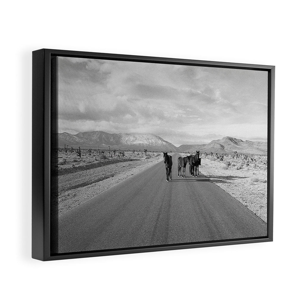 Spring Mountain Wild Horses Framed Canvas Print Gallery Image 2