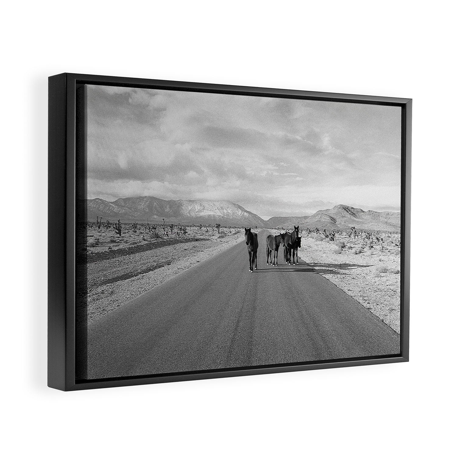 Spring Mountain Wild Horses Framed Canvas Print Gallery Image 2
