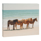 Summer Beach Horses Canvas Print Gallery Image 6