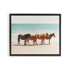 Summer Beach Horses Framed Canvas Print Gallery Image 6