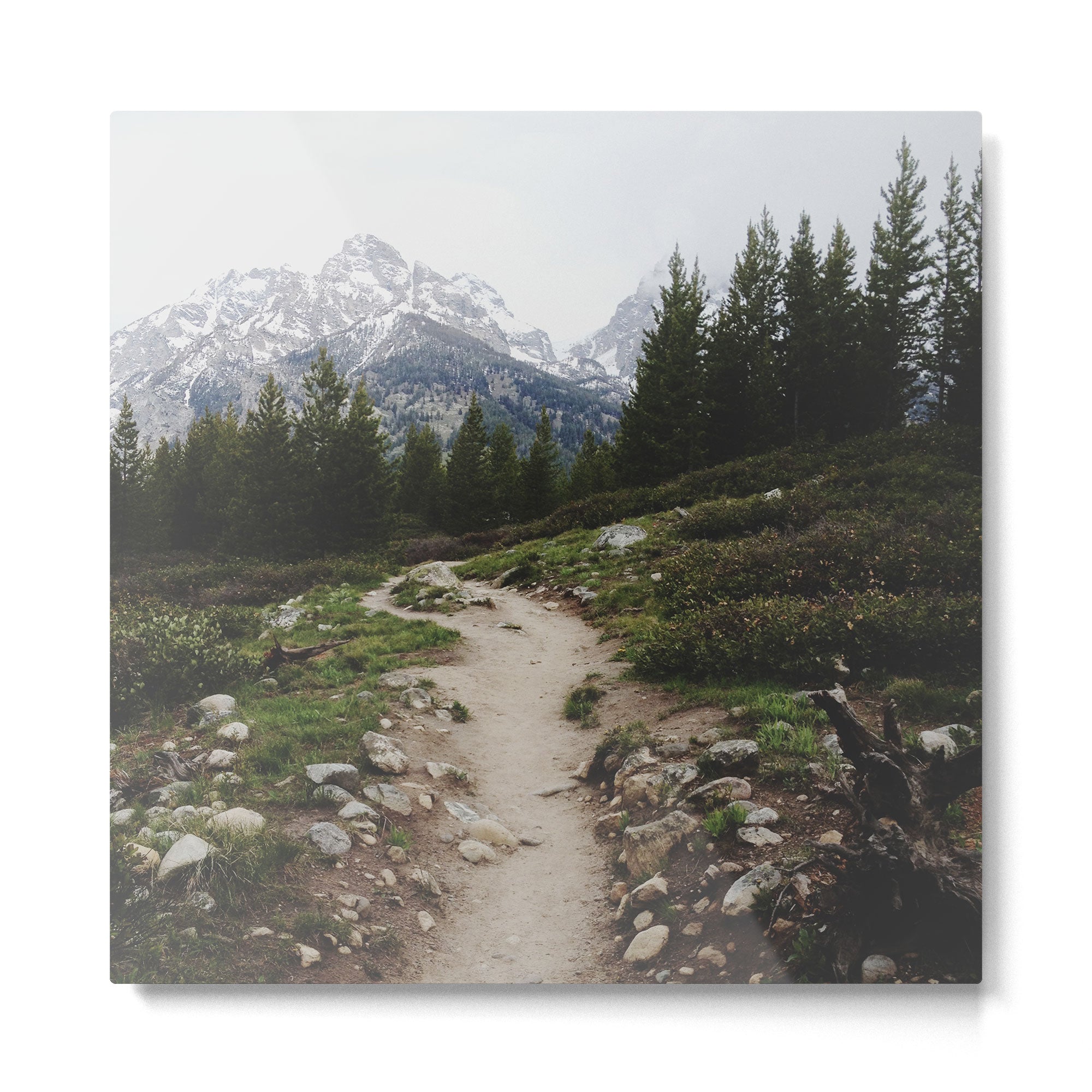 Teton Trail Metal Print Gallery Image 2