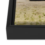 The El Cosmico Framed Canvas Print Gallery Image 3