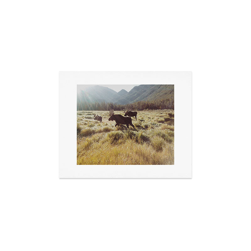 Three Meadow Moose Art Print Gallery Image 1