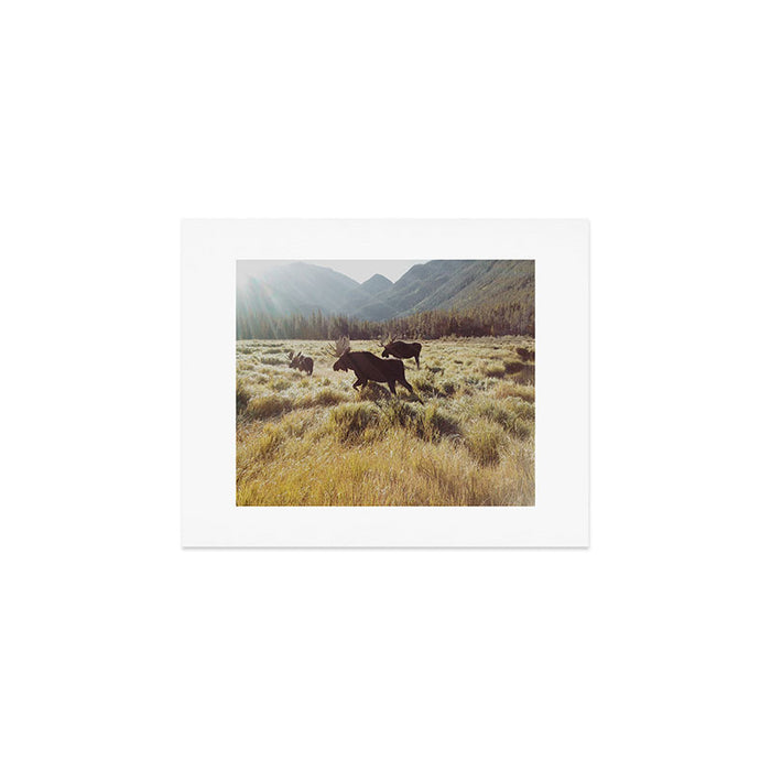 Three Meadow Moose Art Print Gallery Image 1