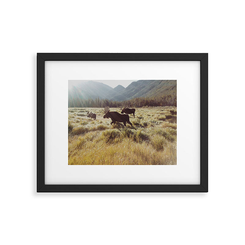 Three Meadow Moose Framed Art Print Gallery Image 4