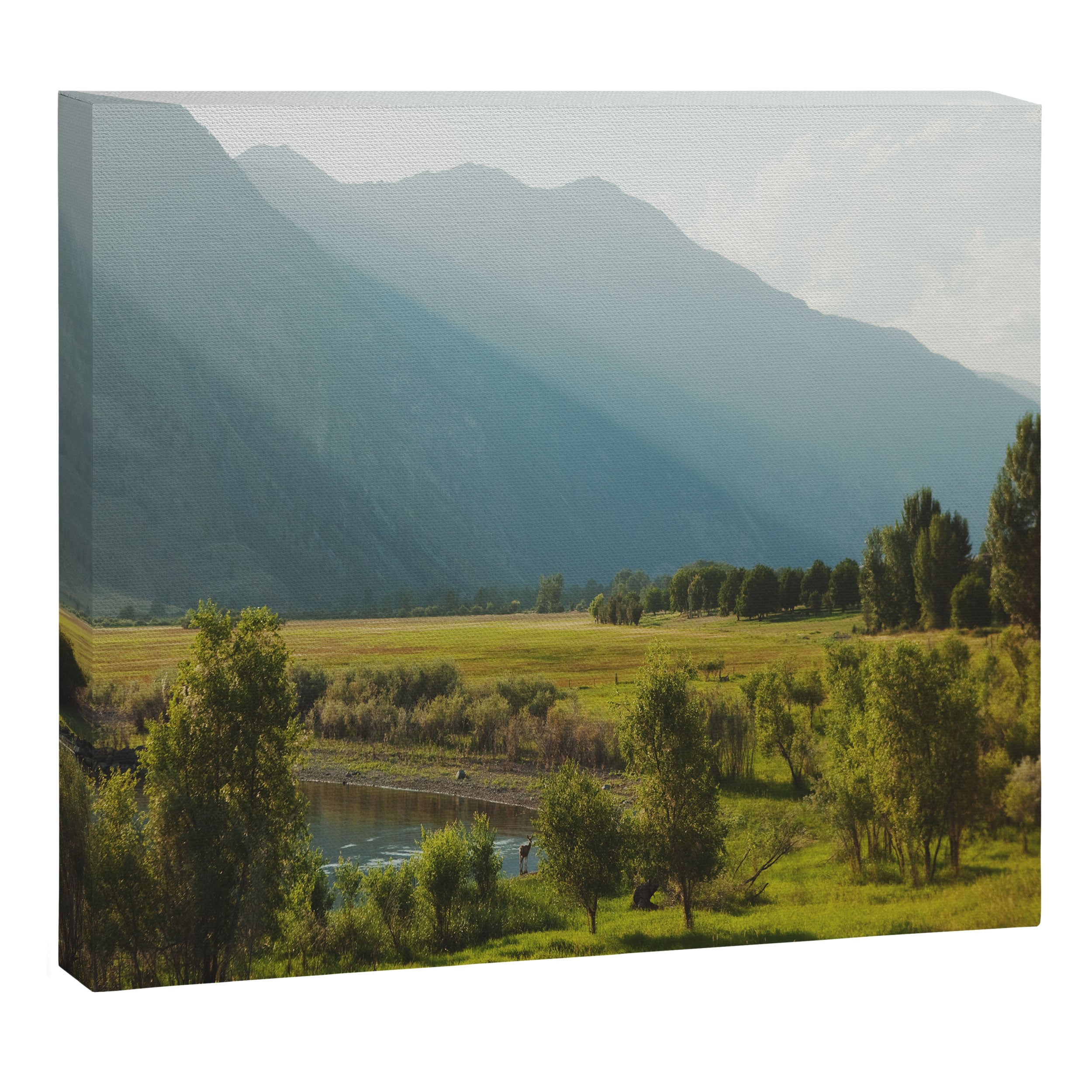 Wading Deer Canvas Print Gallery Image 6