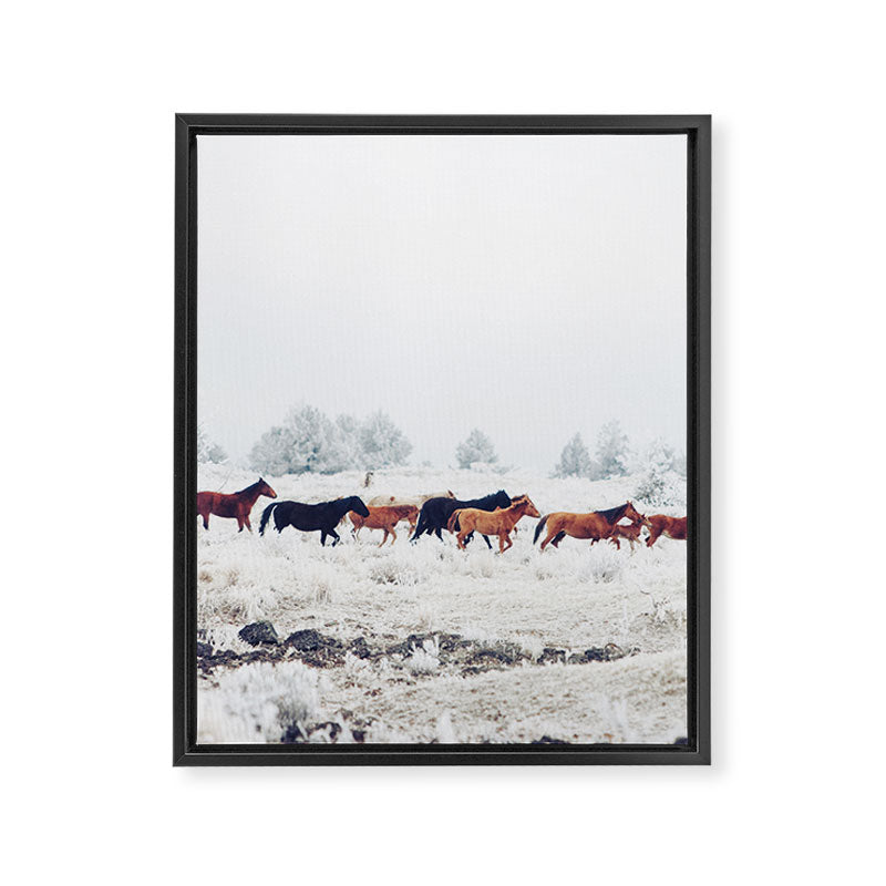 Winter Horse Herd Framed Canvas Print Gallery Image 6