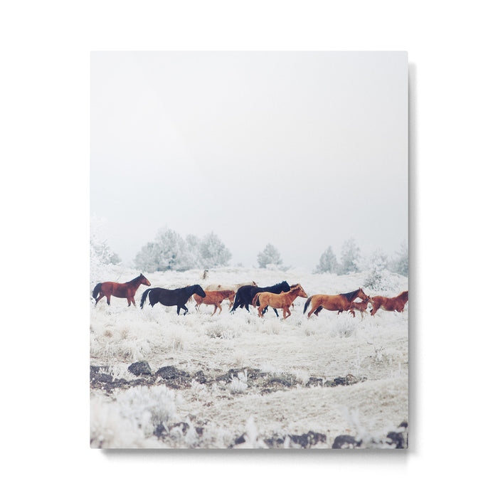 Winter Horse Herd Metal Print Gallery Image 1