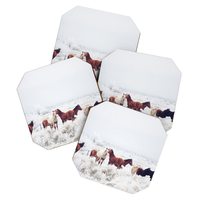 Winter Horseland Coaster Gallery Image 1