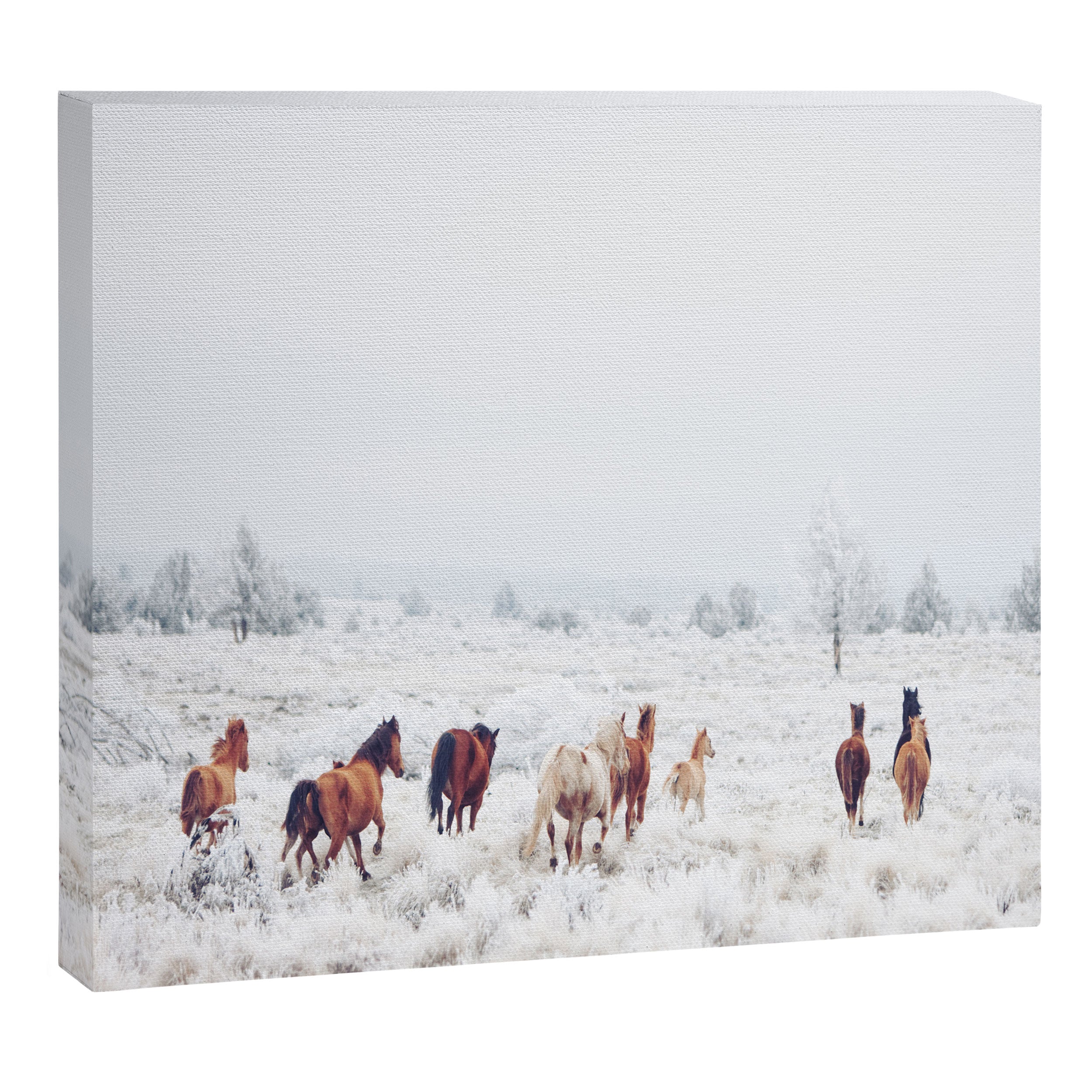 Winter Horses Canvas Print Gallery Image 6