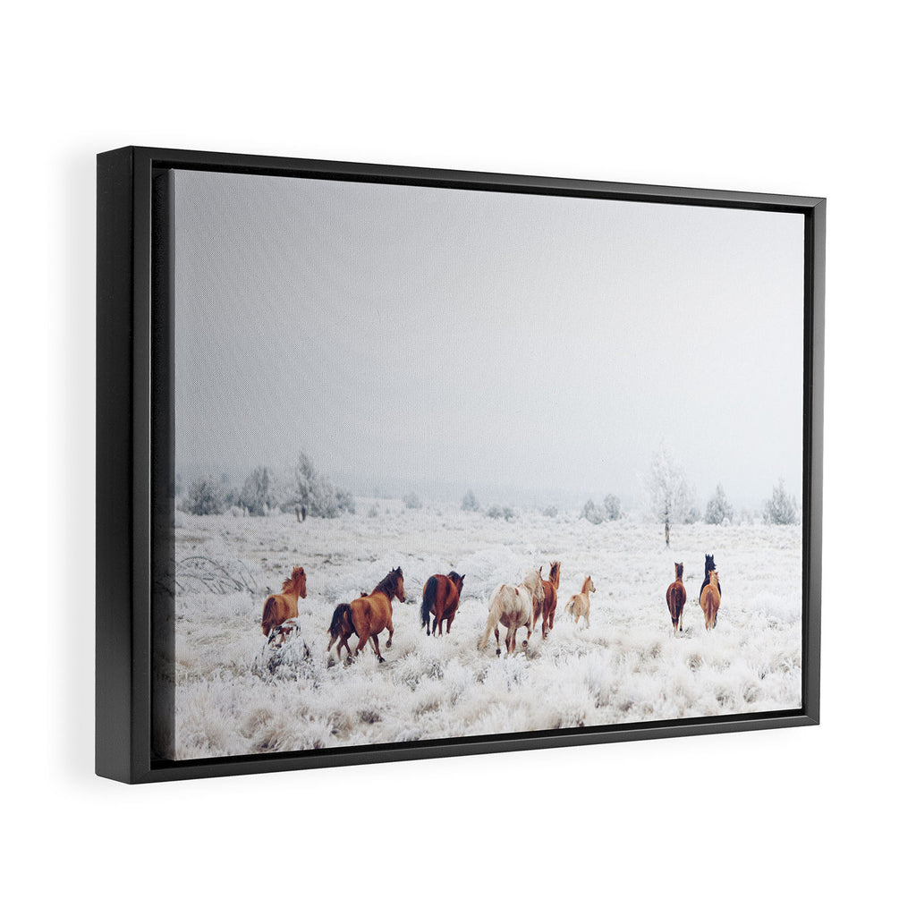 Winter Horses Framed Canvas Print Gallery Image 2
