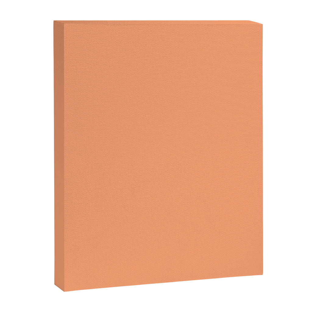 Apricot Peach Solid Color Canvas Print Gallery Image 8