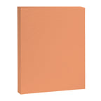 Apricot Peach Solid Color Canvas Print Gallery Image 8