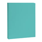 Bright Aqua Cyan Blue-Green Turquoise Solid  Canvas Print Gallery Image 8