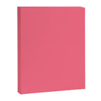 Bright Watermelon Pink Solid Colour  Canvas Print Gallery Image 8