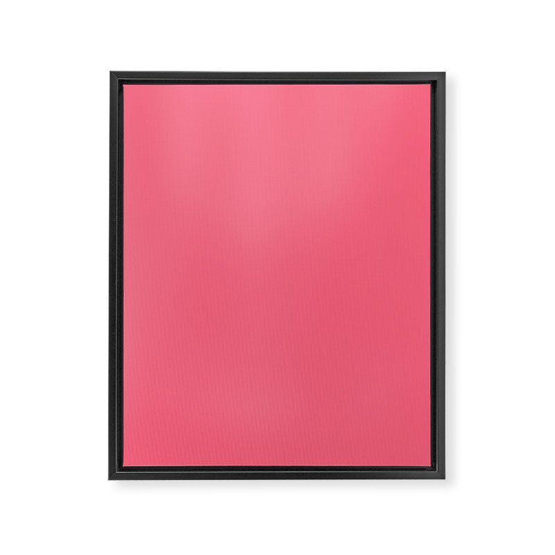 Bright Watermelon Pink Solid Colour  Framed Canvas Print Gallery Image 8