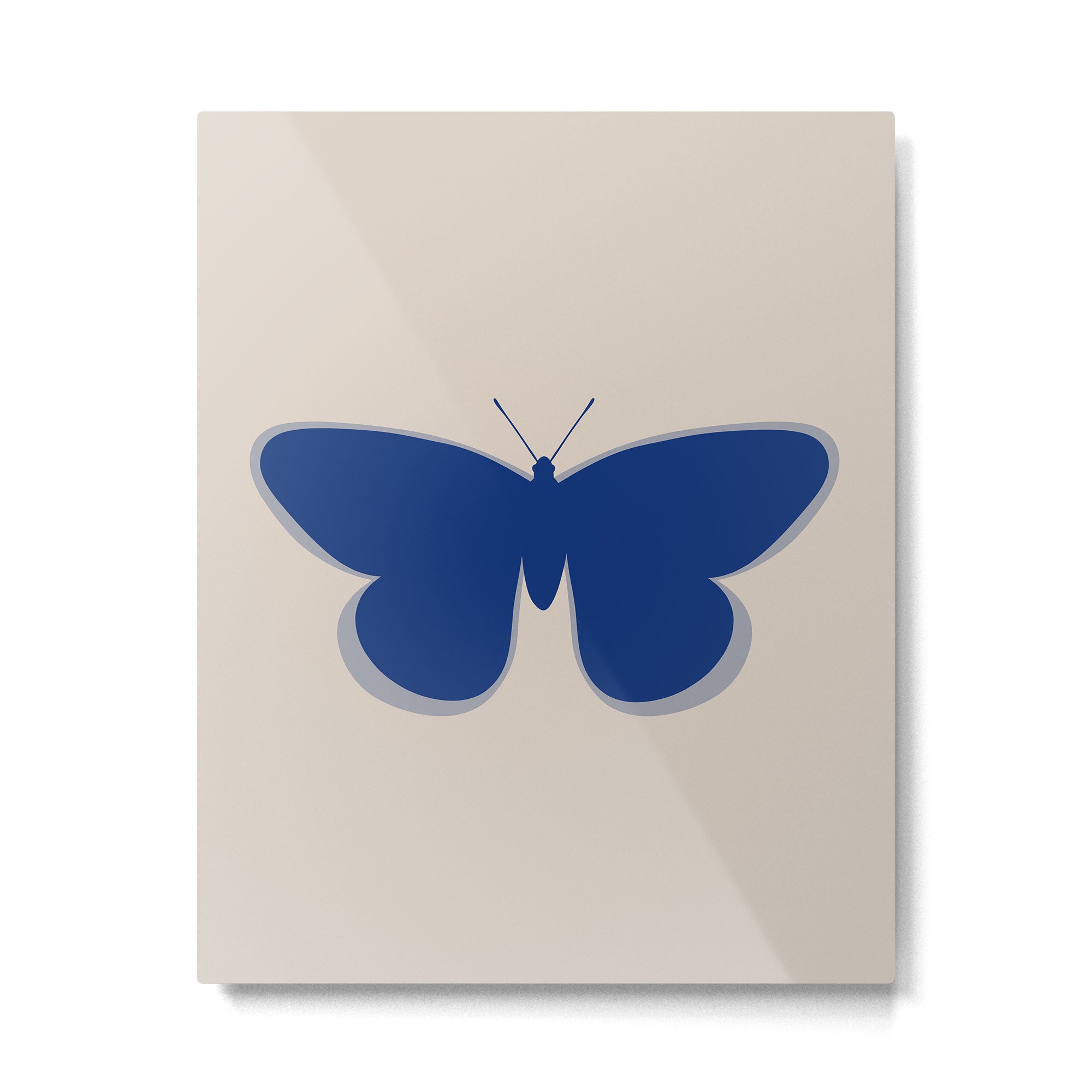 Butterfly Single in Blue and Stone Metal Print Gallery Image 6