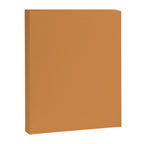 Cantaloupe Orange Muted Solid Color Canvas Print Gallery Image 8