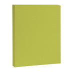 Chartreuse Solid Color Canvas Print Gallery Image 8