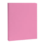 Cheerful Pink Solid Color Canvas Print Gallery Image 8