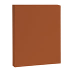 Clay Solid Deep Rich Rust Terracotta Colour Canvas Print Gallery Image 8