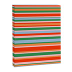 Colorful Stripes in Orange, Green, Pale Pink, and Baby Blue Canvas Print Gallery Image 8