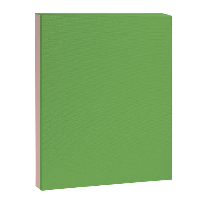 Double Stripe Minimal Lime Green and Pink Canvas Print Gallery Image 1