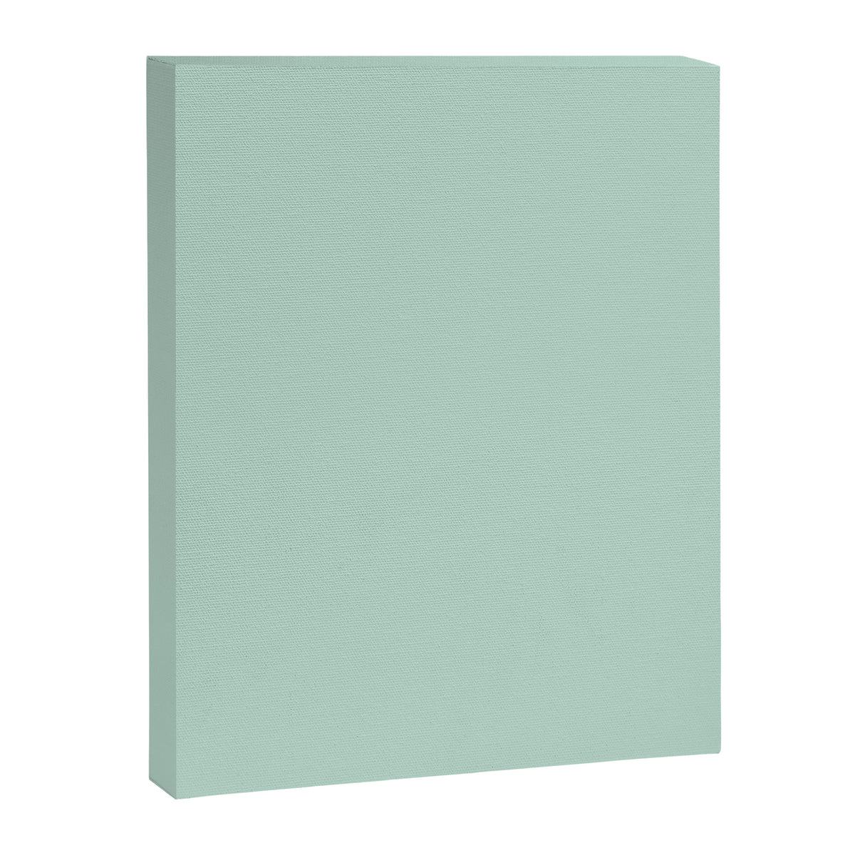 Duck Egg Solid Color Canvas Print Gallery Image 8