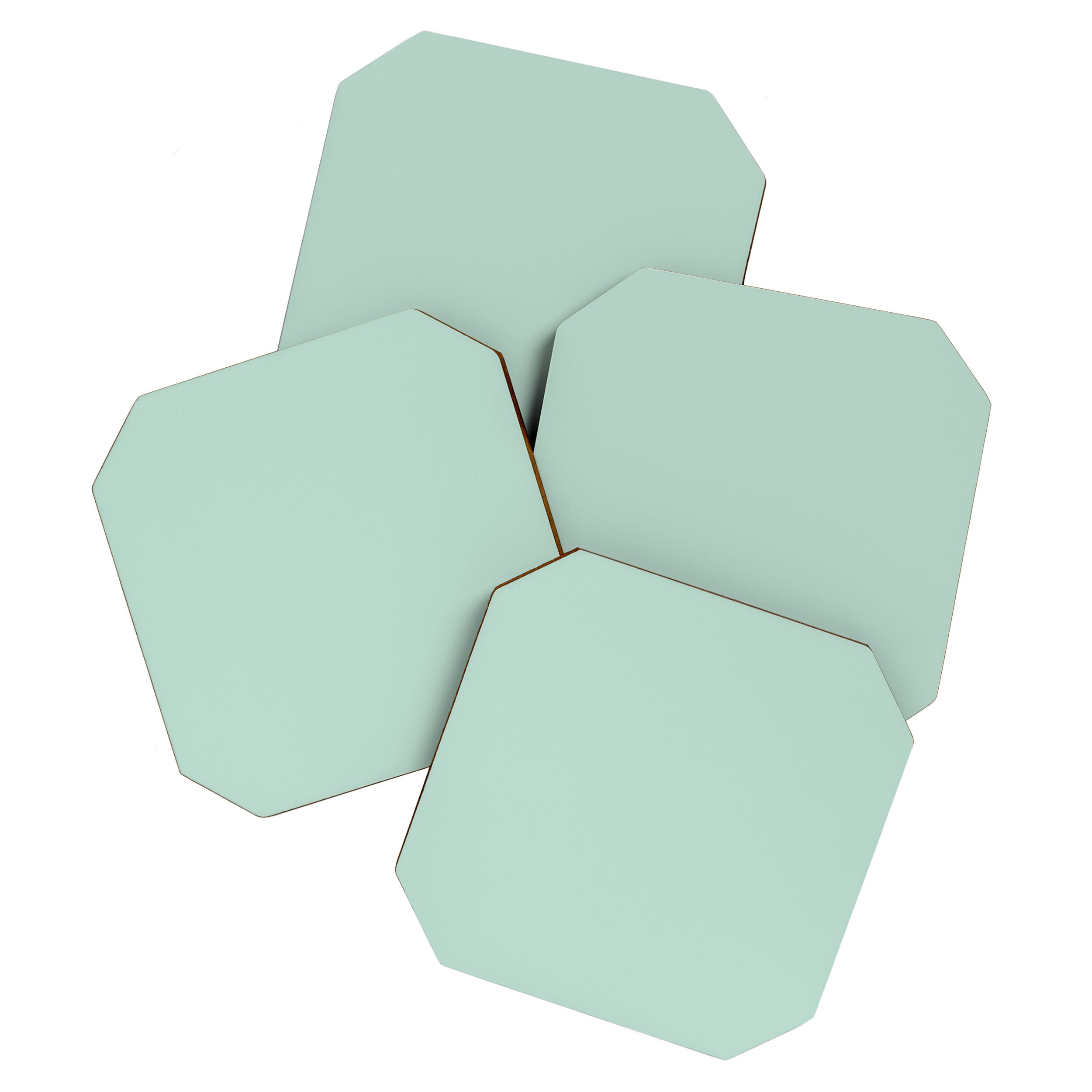 Duck Egg Solid Color Coaster Gallery Image 1