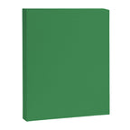 Green Solid Color Canvas Print Gallery Image 8