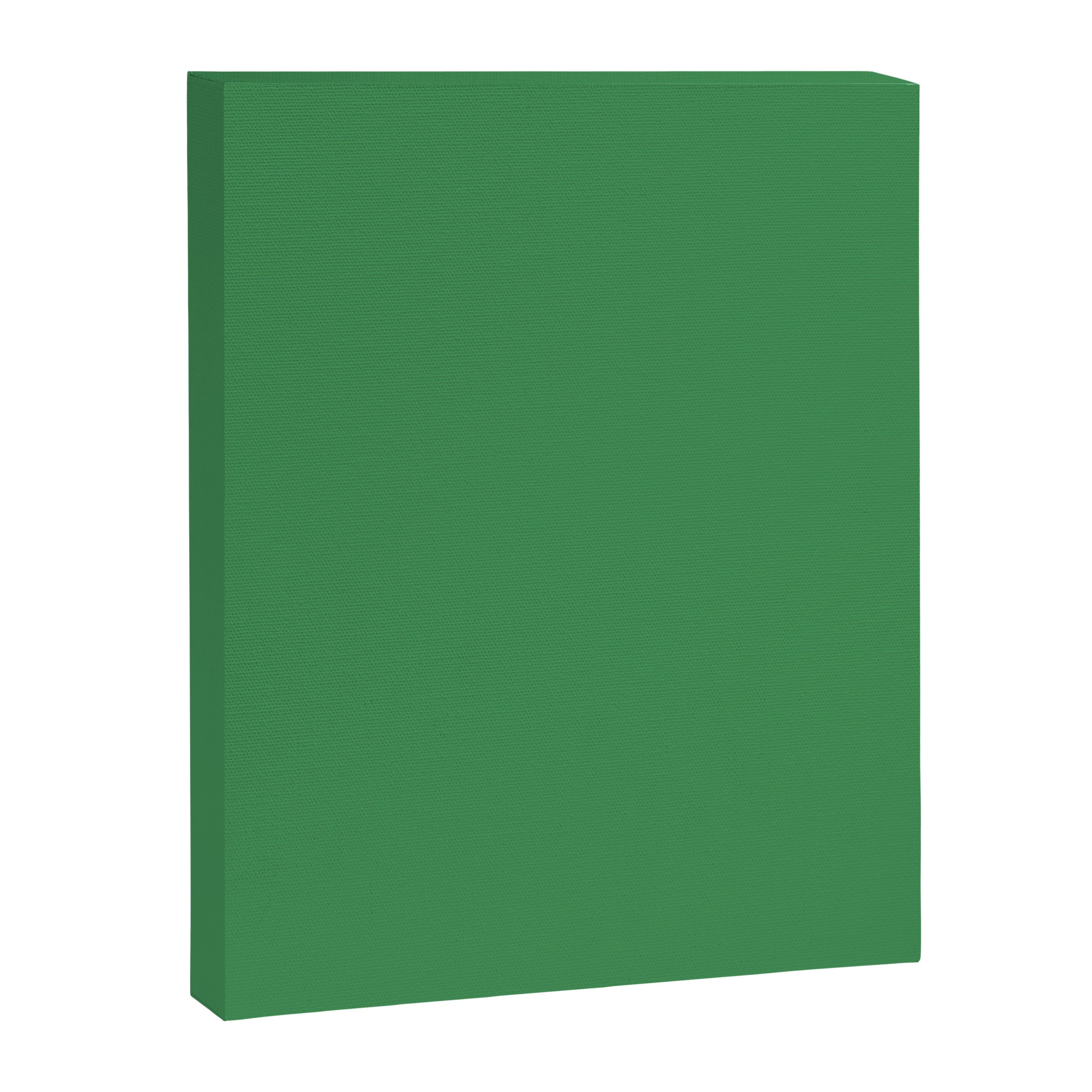 Green Solid Color Canvas Print Gallery Image 8