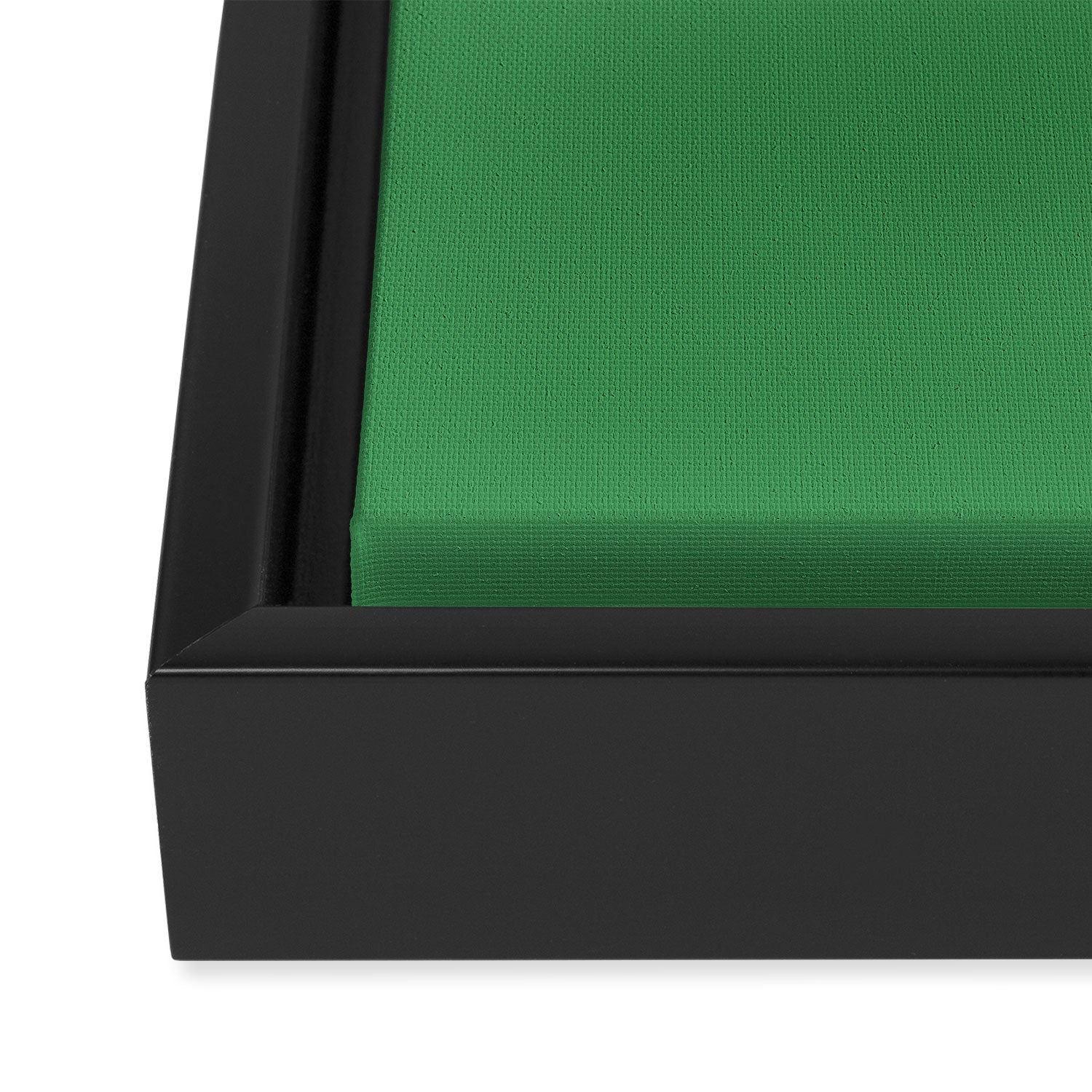 Green Solid Color Framed Canvas Print Gallery Image 3