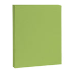 Happy Light Lime Green Solid Canvas Print Gallery Image 8