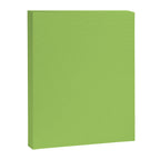 Light Green Lime Solid Color Canvas Print Gallery Image 8