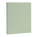 Light Pastel Kitchen Sage Solid Canvas Print Gallery Image 8